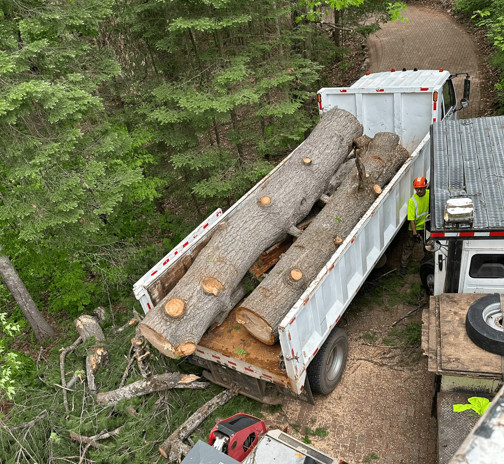 Quality Tree Service crew removing a large tree with heavy equipment