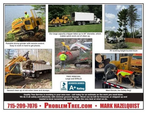 Tree service advertisement featuring equipment and workers