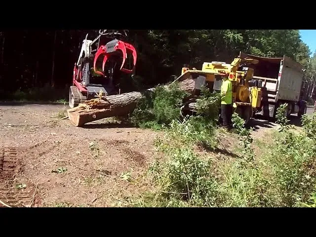 Red skidsteer grapple lifting a large log while the crew feeds brush into a chipper truck